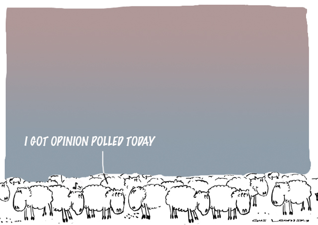 opinion polls